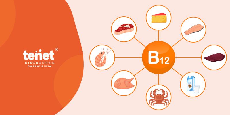 Vitamin B-12 Food Sources